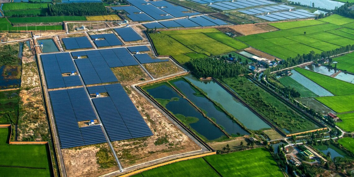 Solar farm, solar panels