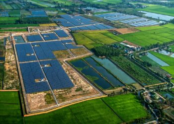 Solar farm, solar panels